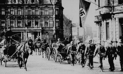 Fascisterne