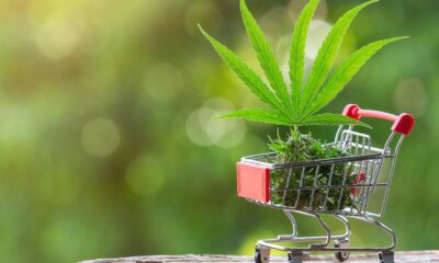 Herbciepscam