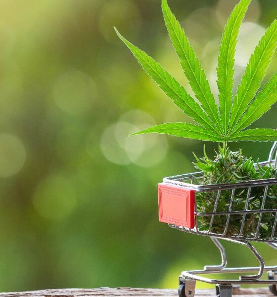 Herbciepscam