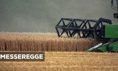 Messeregge