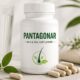 Pantagonar