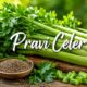 Pravi Celer