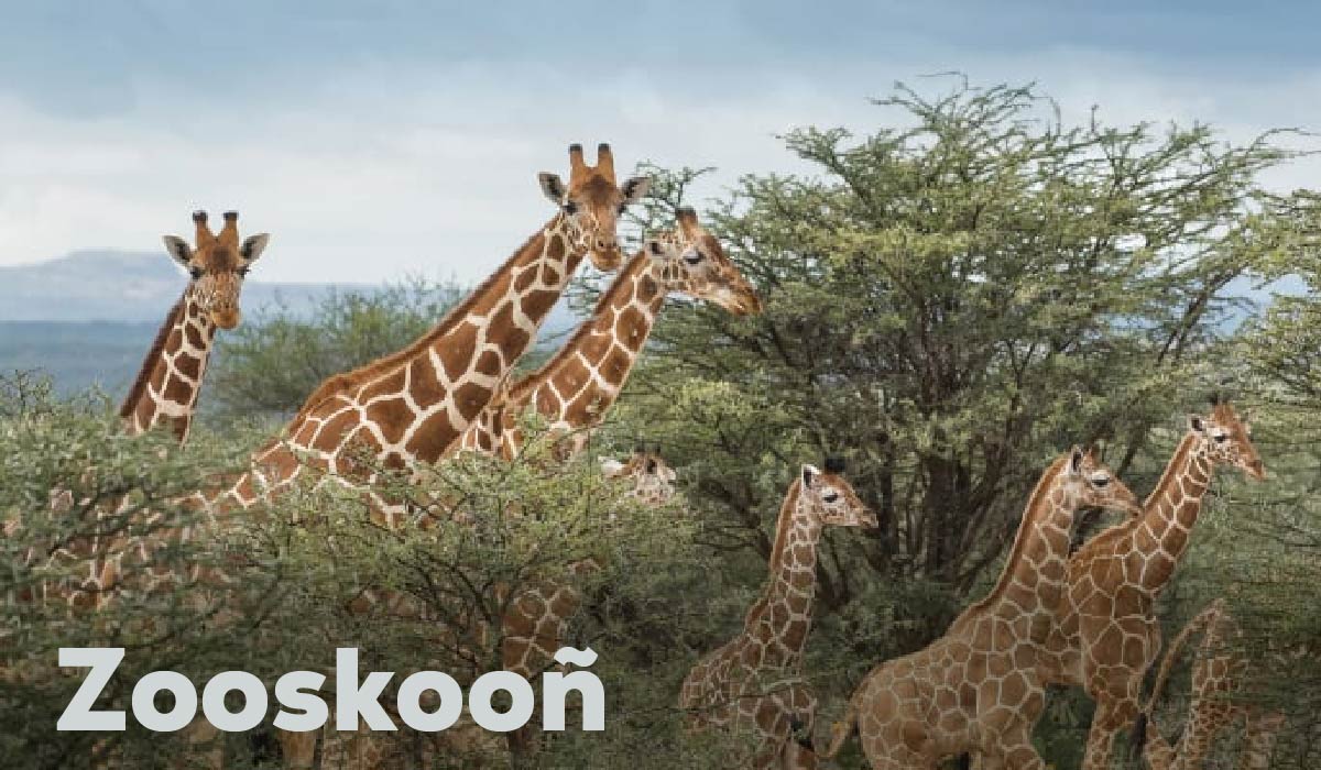 Zooskooñ
